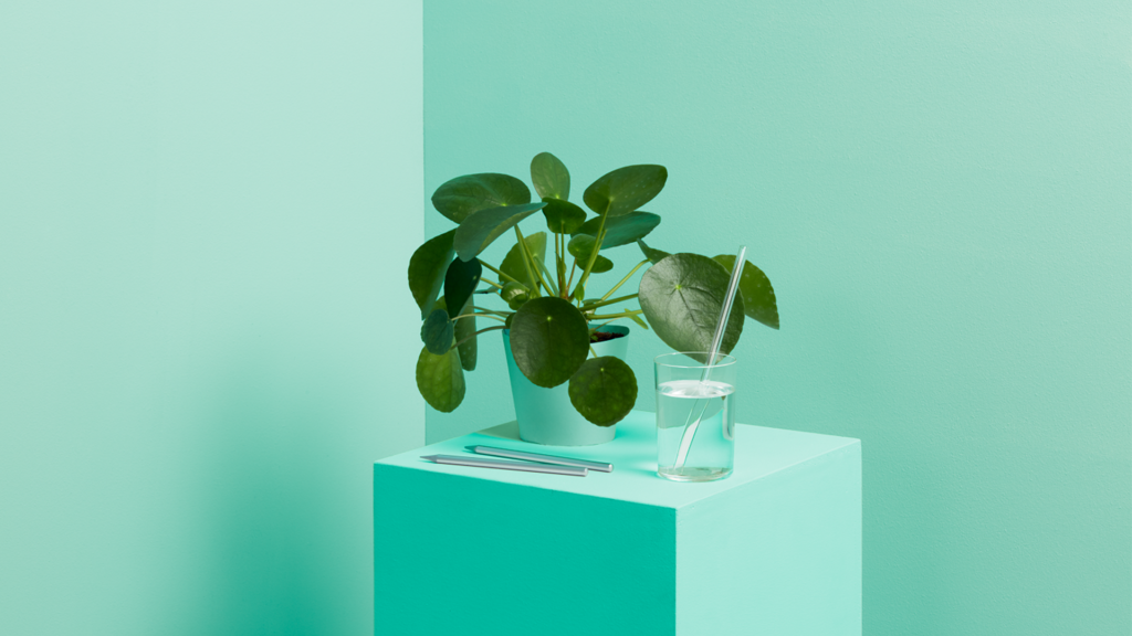 Vihreäsävyinen kuva, jossa laatikko, kasvi, vesilasi ja kaksi kynää